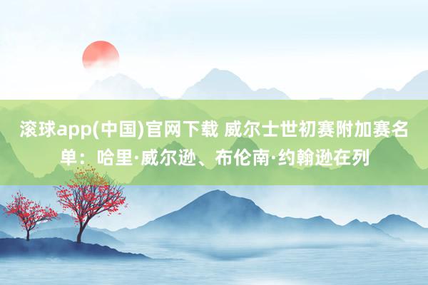 滚球app(中国)官网下载 威尔士世初赛附加赛名单：哈里·威尔逊、布伦南·约翰逊在列