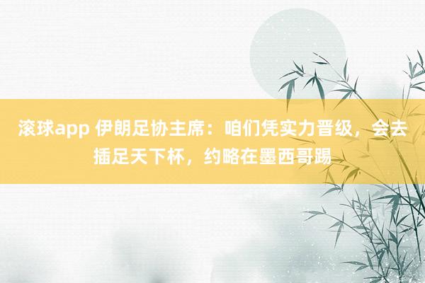 滚球app 伊朗足协主席：咱们凭实力晋级，会去插足天下杯，约略在墨西哥踢