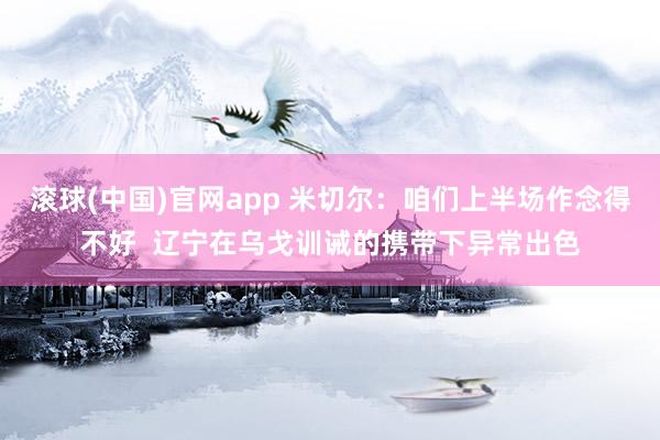 滚球(中国)官网app 米切尔：咱们上半场作念得不好  辽宁在乌戈训诫的携带下异常出色