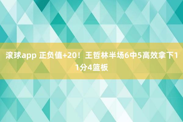 滚球app 正负值+20！王哲林半场6中5高效拿下11分4篮板