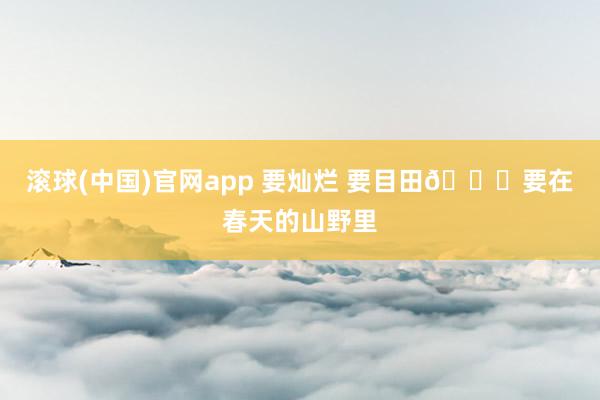 滚球(中国)官网app 要灿烂 要目田🍃要在春天的山野里