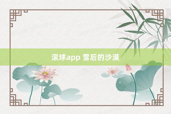 滚球app 雪后的沙漠