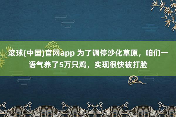 滚球(中国)官网app 为了调停沙化草原，咱们一语气养了5万只鸡，实现很快被打脸