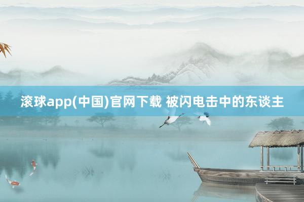 滚球app(中国)官网下载 被闪电击中的东谈主