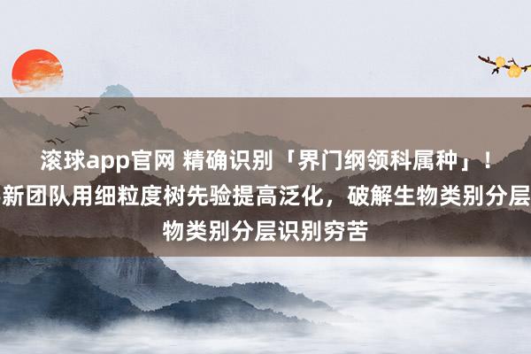滚球app官网 精确识别「界门纲领科属种」！北大彭宇新团队用细粒度树先验提高泛化，破解生物类别分层识别穷苦