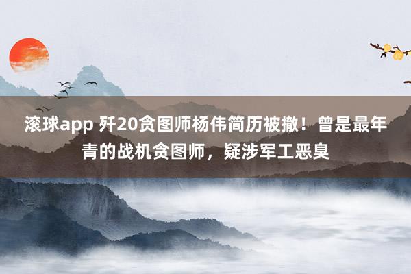 滚球app 歼20贪图师杨伟简历被撤！曾是最年青的战机贪图师，疑涉军工恶臭