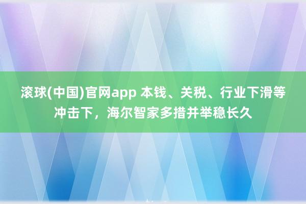 滚球(中国)官网app 本钱、关税、行业下滑等冲击下，海尔智家多措并举稳长久