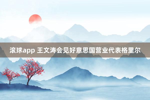 滚球app 王文涛会见好意思国营业代表格里尔