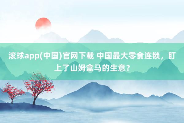滚球app(中国)官网下载 中国最大零食连锁，盯上了山姆盒马的生意？