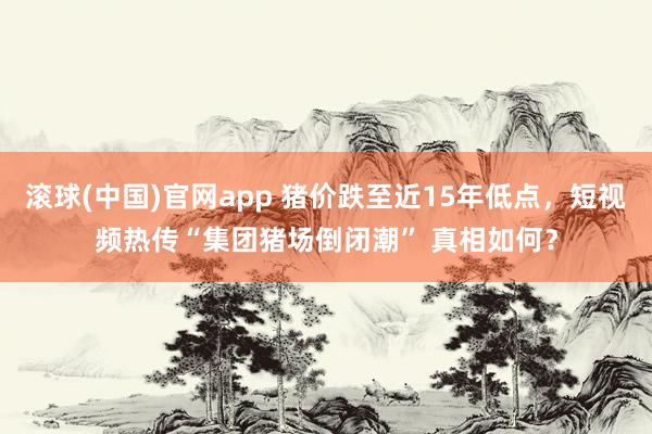 滚球(中国)官网app 猪价跌至近15年低点，短视频热传“集团猪场倒闭潮” 真相如何？