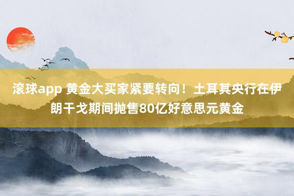 滚球app 黄金大买家紧要转向！土耳其央行在伊朗干戈期间抛售80亿好意思元黄金