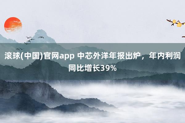 滚球(中国)官网app 中芯外洋年报出炉，年内利润同比增长39%