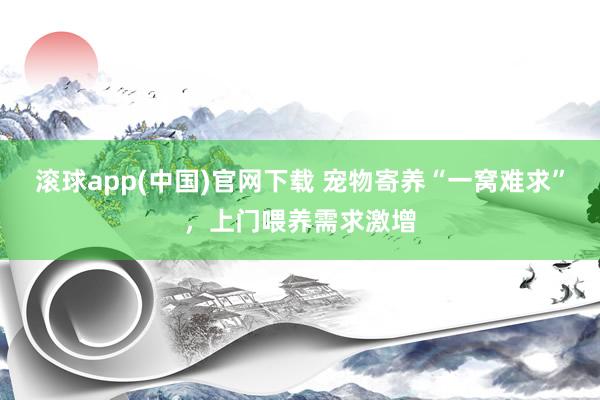 滚球app(中国)官网下载 宠物寄养“一窝难求”，上门喂养需求激增