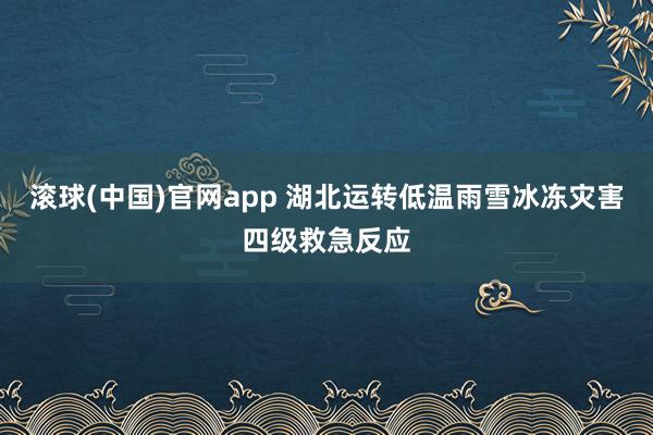 滚球(中国)官网app 湖北运转低温雨雪冰冻灾害四级救急反应