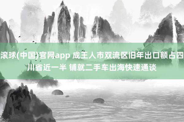 滚球(中国)官网app 成王人市双流区旧年出口额占四川省近一半 铺就二手车出海快速通谈
