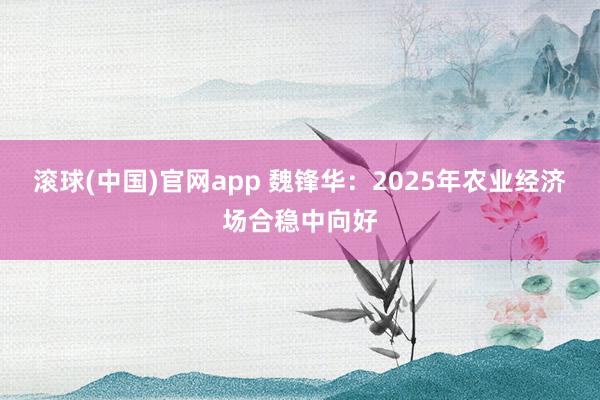 滚球(中国)官网app 魏锋华：2025年农业经济场合稳中向好