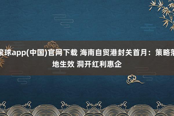 滚球app(中国)官网下载 海南自贸港封关首月：策略落地生效 洞开红利惠企