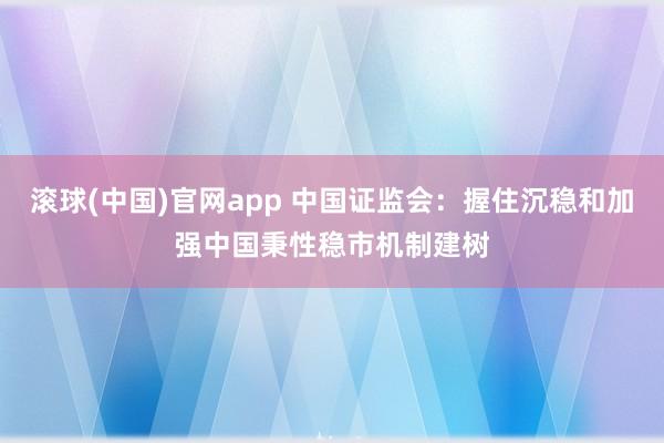 滚球(中国)官网app 中国证监会：握住沉稳和加强中国秉性稳市机制建树