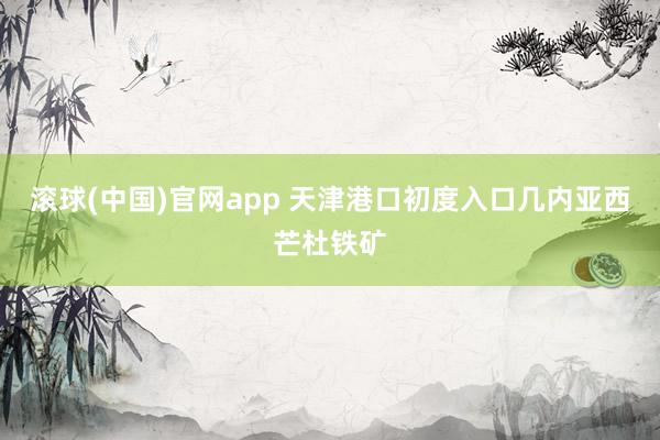 滚球(中国)官网app 天津港口初度入口几内亚西芒杜铁矿