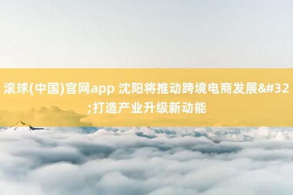 滚球(中国)官网app 沈阳将推动跨境电商发展 打造产业升级新动能