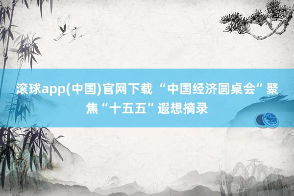 滚球app(中国)官网下载 “中国经济圆桌会”聚焦“十五五”遐想摘录