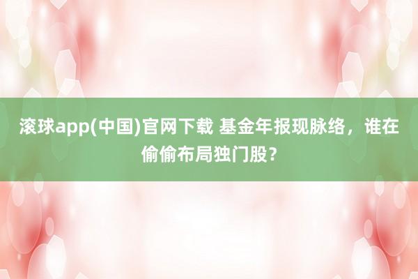 滚球app(中国)官网下载 基金年报现脉络，谁在偷偷布局独门股？