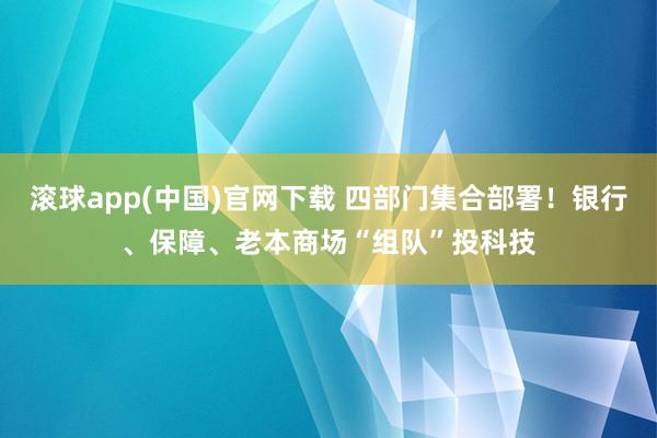 滚球app(中国)官网下载 四部门集合部署！银行、保障、老本商场“组队”投科技