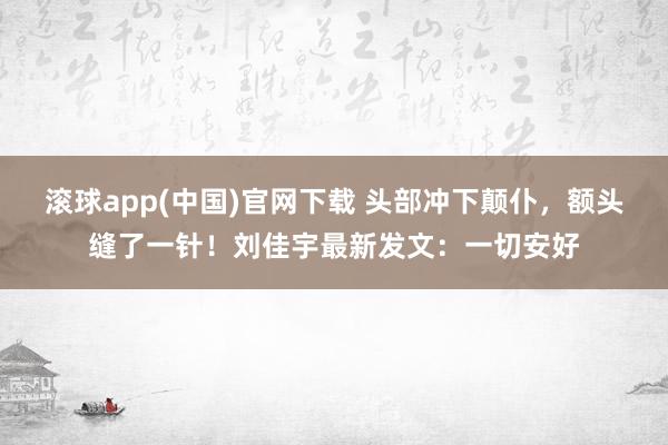 滚球app(中国)官网下载 头部冲下颠仆，额头缝了一针！刘佳宇最新发文：一切安好