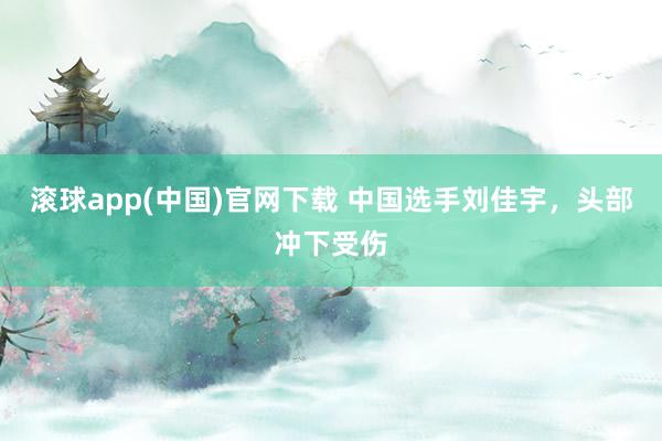 滚球app(中国)官网下载 中国选手刘佳宇，头部冲下受伤