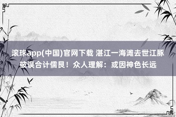 滚球app(中国)官网下载 湛江一海滩去世江豚被误合计儒艮！众人理解：或因神色长远