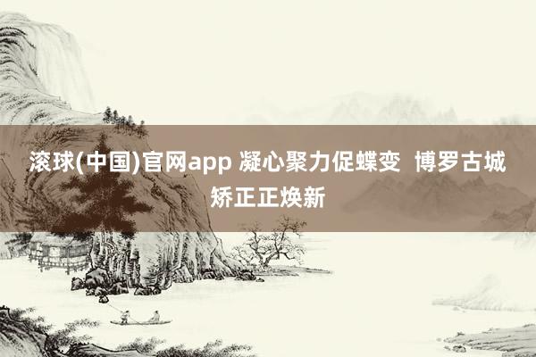 滚球(中国)官网app 凝心聚力促蝶变  博罗古城矫正正焕新