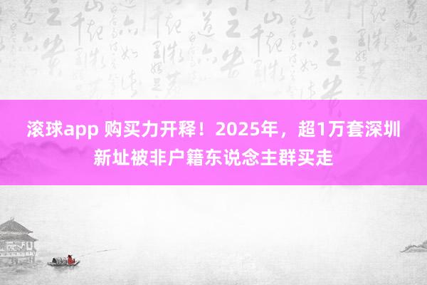 滚球app 购买力开释！2025年，超1万套深圳新址被非户籍东说念主群买走