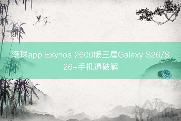 滚球app Exynos 2600版三星Galaxy S26/S26+手机遭破解