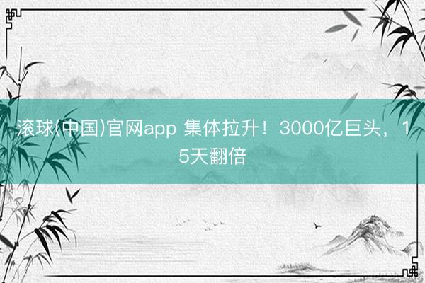 滚球(中国)官网app 集体拉升！3000亿巨头，15天翻倍