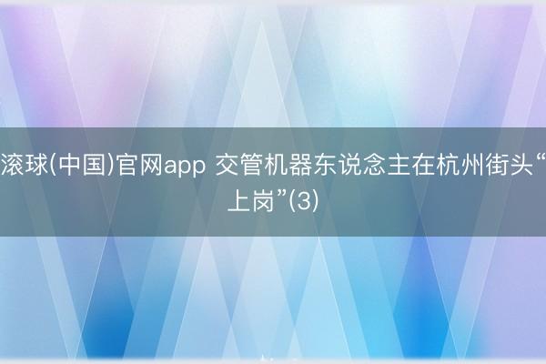 滚球(中国)官网app 交管机器东说念主在杭州街头“上岗”(3)