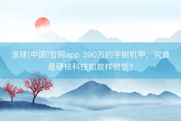 滚球(中国)官网app 390万的宇树机甲，究竟是硬核科技如故样貌货？