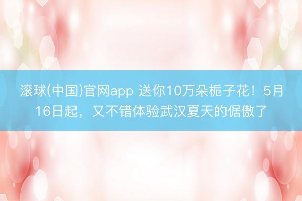 滚球(中国)官网app 送你10万朵栀子花!5月16日起,又不错体验武汉夏天的倨傲了
