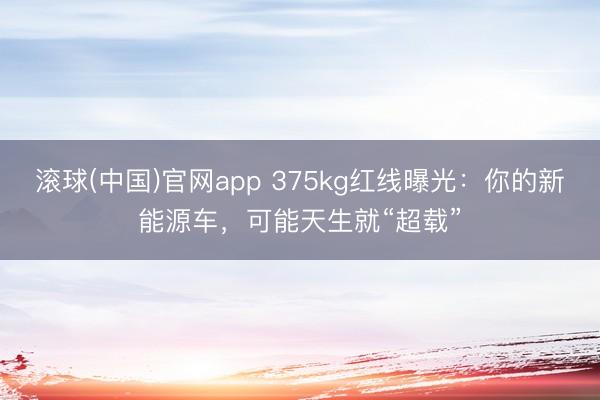 滚球(中国)官网app 375kg红线曝光：你的新能源车，可能天生就“超载”