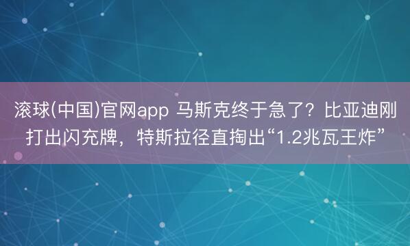 滚球(中国)官网app 马斯克终于急了？比亚迪刚打出闪充牌，特斯拉径直掏出“1.2兆瓦王炸”