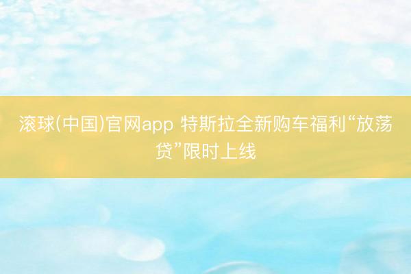 滚球(中国)官网app 特斯拉全新购车福利“放荡贷”限时上线