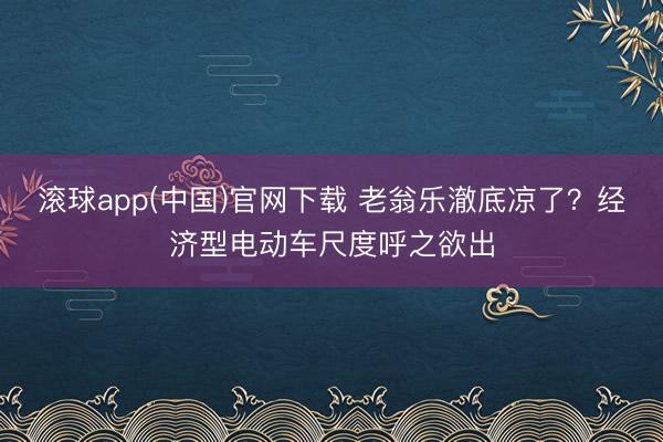 滚球app(中国)官网下载 老翁乐澈底凉了？经济型电动车尺度呼之欲出