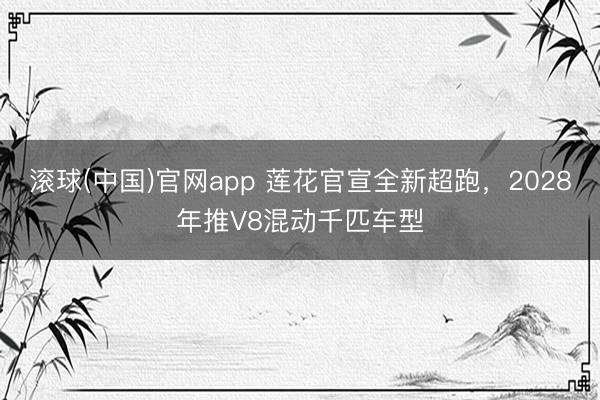 滚球(中国)官网app 莲花官宣全新超跑，2028年推V8混动千匹车型