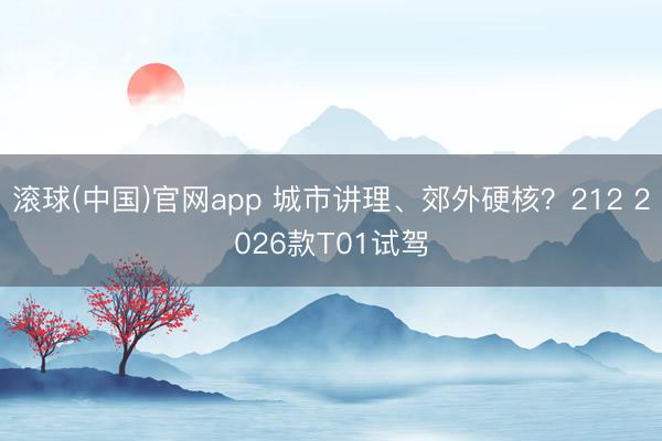 滚球(中国)官网app 城市讲理、郊外硬核？212 2026款T01试驾