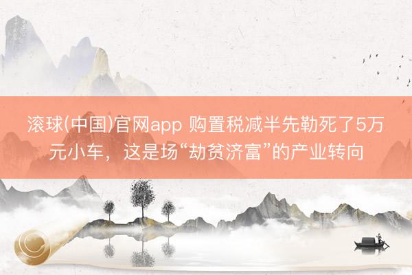滚球(中国)官网app 购置税减半先勒死了5万元小车,这是场“劫贫济富”的产业转向