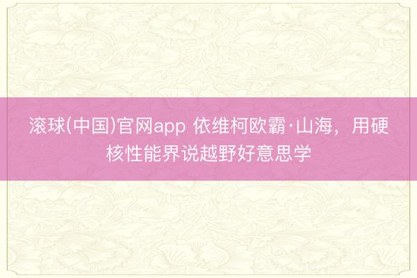 滚球(中国)官网app 依维柯欧霸·山海，用硬核性能界说越野好意思学