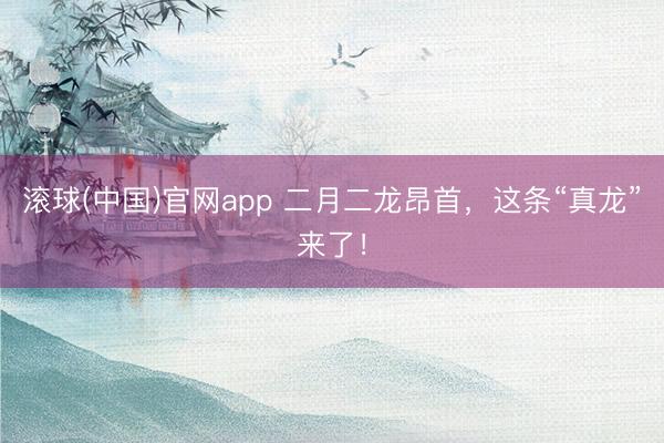 滚球(中国)官网app 二月二龙昂首，这条“真龙”来了！