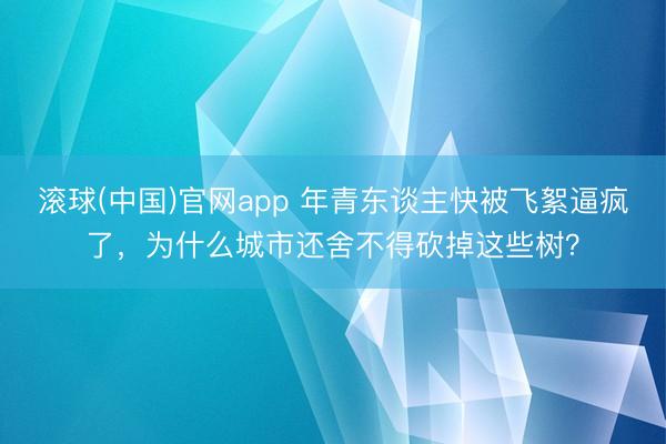 滚球(中国)官网app 年青东谈主快被飞絮逼疯了，为什么城市还舍不得砍掉这些树？