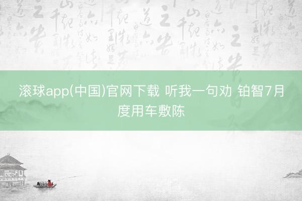 滚球app(中国)官网下载 听我一句劝 铂智7月度用车敷陈