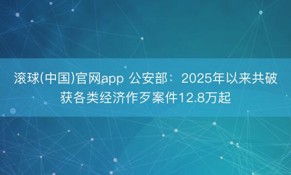 滚球(中国)官网app 公安部：2025年以来共破获各类经济作歹案件12.8万起
