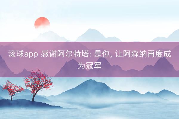 滚球app 感谢阿尔特塔: 是你， 让阿森纳再度成为冠军